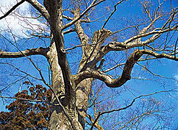 2024年日本亚洲PlayStation合作伙伴大奖12月3日举办 投票已开启